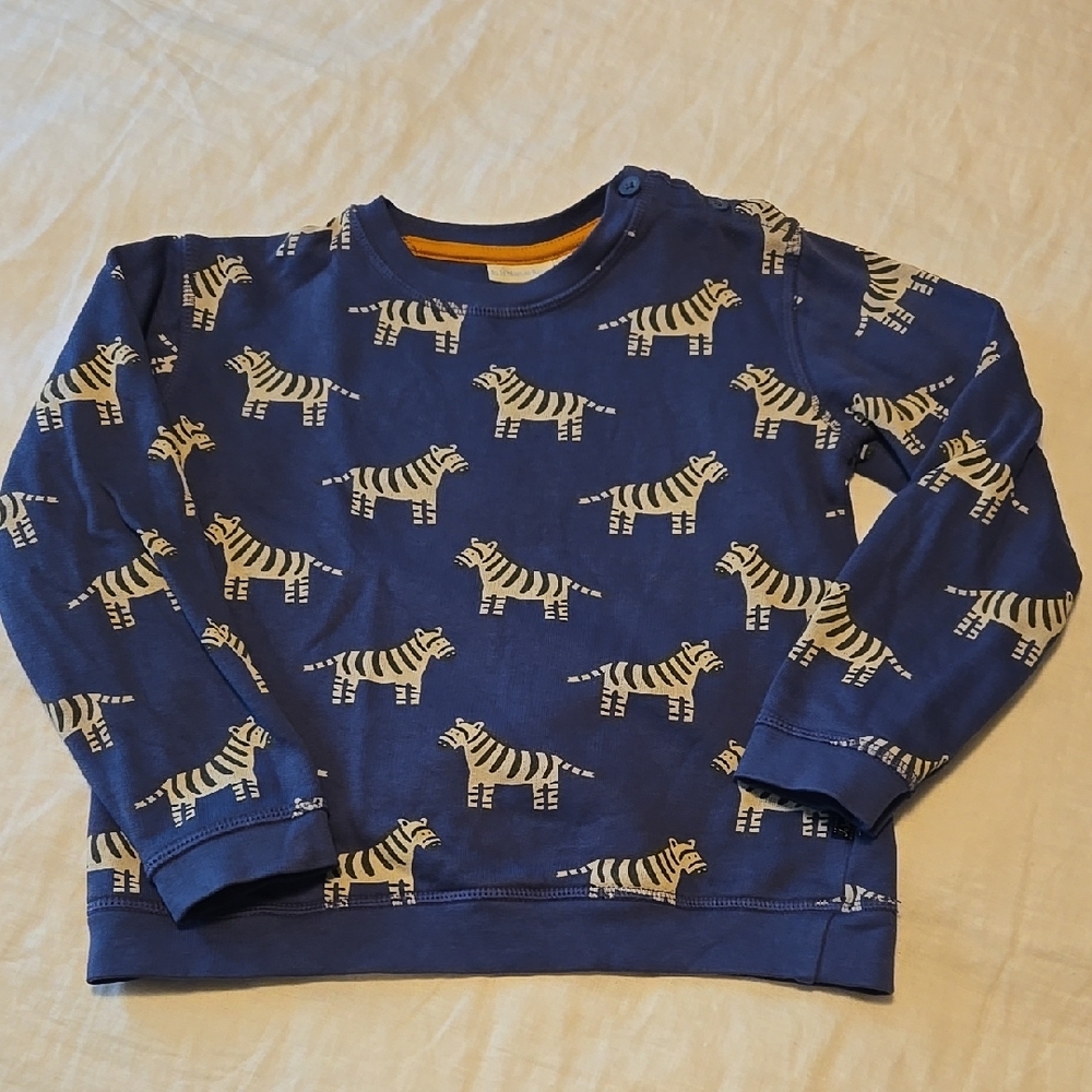 Kids Blue Zebra Print Shirt
